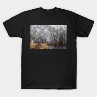 Early morning mist in Gums T-Shirt